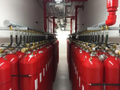 Agnitar Inert Fire Suppression System firmly installed – high-pressure cylinders for IG-541, IG-55, IG-100, IG-01.